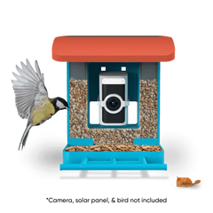 Wyze Bird Feeder