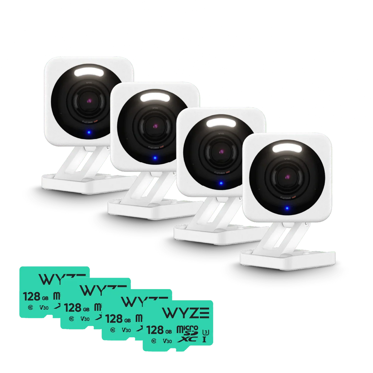 Small Business Monitoring Basic