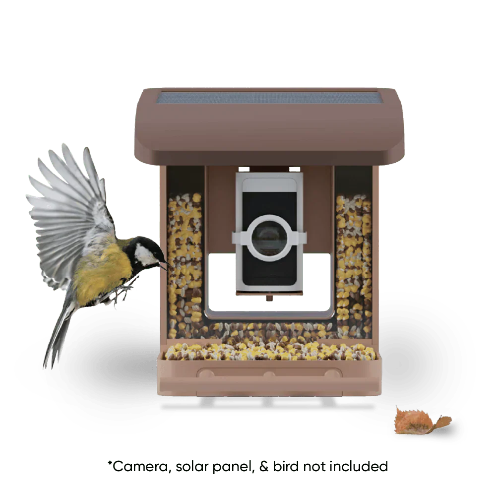 Wyze Bird Feeder